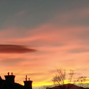 Meet your Posher, "Chandelier" 💐